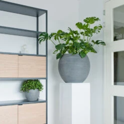 Abby Ball Plant Pot - Ridged Dark Grey -Plants Sale Store AbbyBallPlantPot RidgedDarkGrey