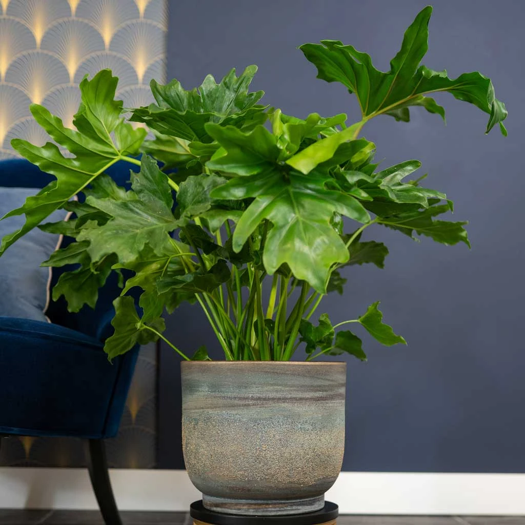 Aico Plant Pot - Shiny Blue 4 Aico Plant Pot - Shiny Blue - Image 2