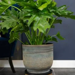 Aico Plant Pot - Shiny Blue 22 Aico Plant Pot - Shiny Blue -Plants Sale Store Aico shiny blue 02