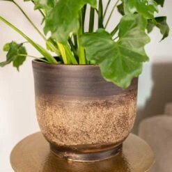 Aico Plant Pot - Shiny Brown -Plants Sale Store Aico shiny brown 02
