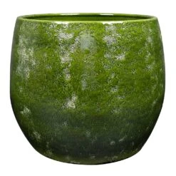 Aimee Plant Pot - Pear 24 Aimee Plant Pot - Pear -Plants Sale Store Aimee Plant Pot Pear