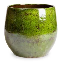 Aimee Plant Pot - Pear 21 Aimee Plant Pot - Pear -Plants Sale Store Aimee Plant Pot Pear 38x34cm