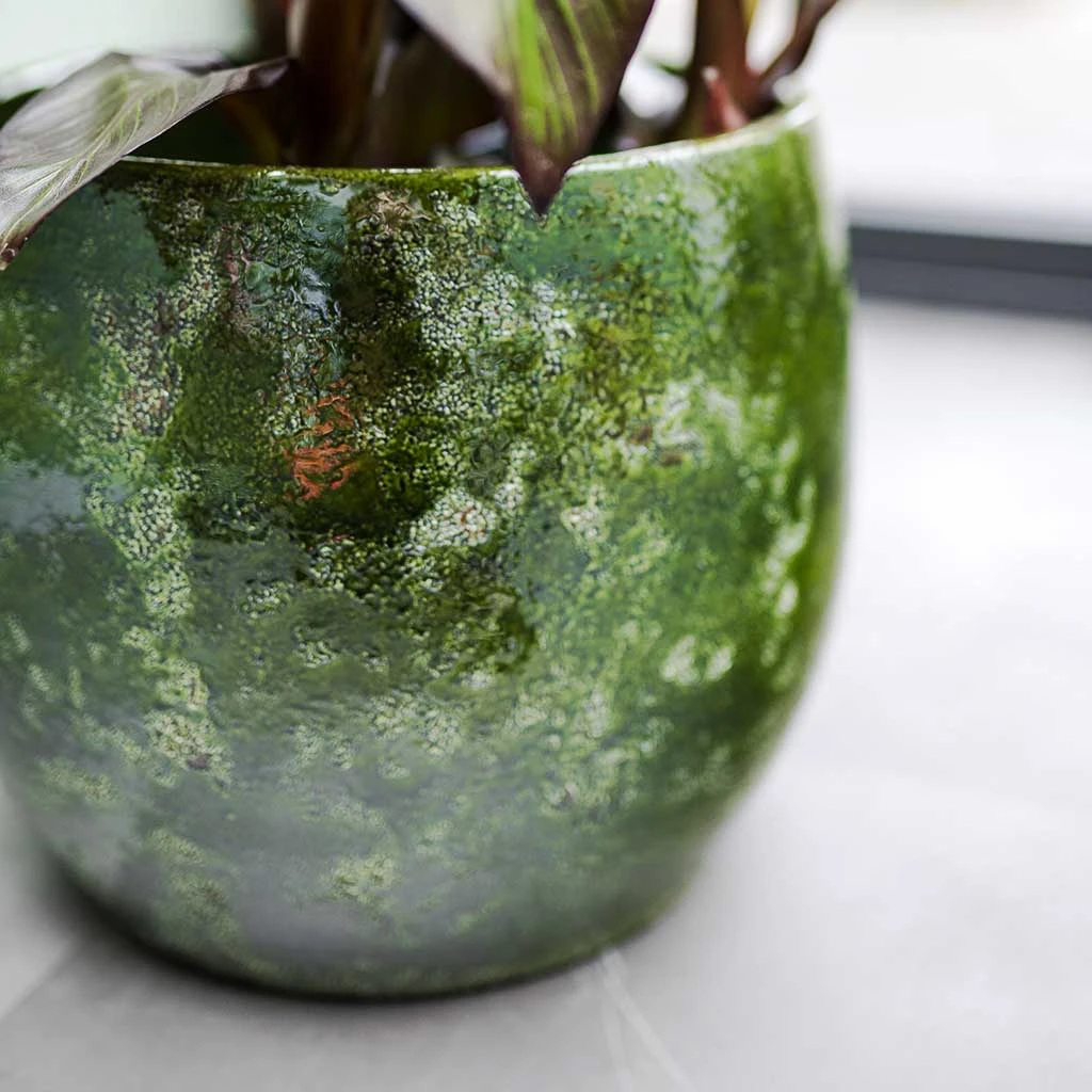 Aimee Plant Pot - Pear 9 Aimee Plant Pot - Pear - Image 7