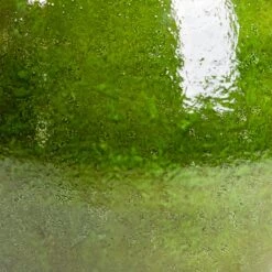 Aimee Plant Pot - Pear 25 Aimee Plant Pot - Pear -Plants Sale Store Aimee Plant Pot Pear SWATCH2