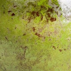 Aimee Plant Pot - Pear 26 Aimee Plant Pot - Pear -Plants Sale Store Aimee Plant Pot Pear SWATCH3