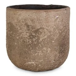 Albero Plant Pot - Cement -Plants Sale Store Albero Plant Pot Cement 16x14cm c1509482 b7a3 4670 8e6e 570ba6012564