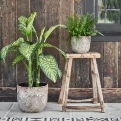 Albero Plant Pot - Cement -Plants Sale Store Albero Plant Pot Cement 28 x 26cm