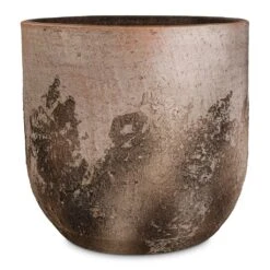 Albero Plant Pot - Cement -Plants Sale Store Albero Plant Pot Cement 28x26cm 28706681 8e92 439f a7a0 1542d380a061