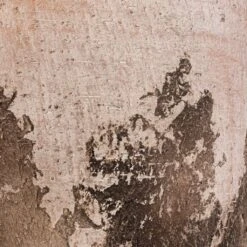 Albero Plant Pot - Cement -Plants Sale Store Albero Plant Pot Cement DETAIL