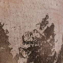 Albero Plant Pot - Cement -Plants Sale Store Albero Plant Pot Cement DETAIL d465160c 8621 4f6c 825c 263e6430a47d