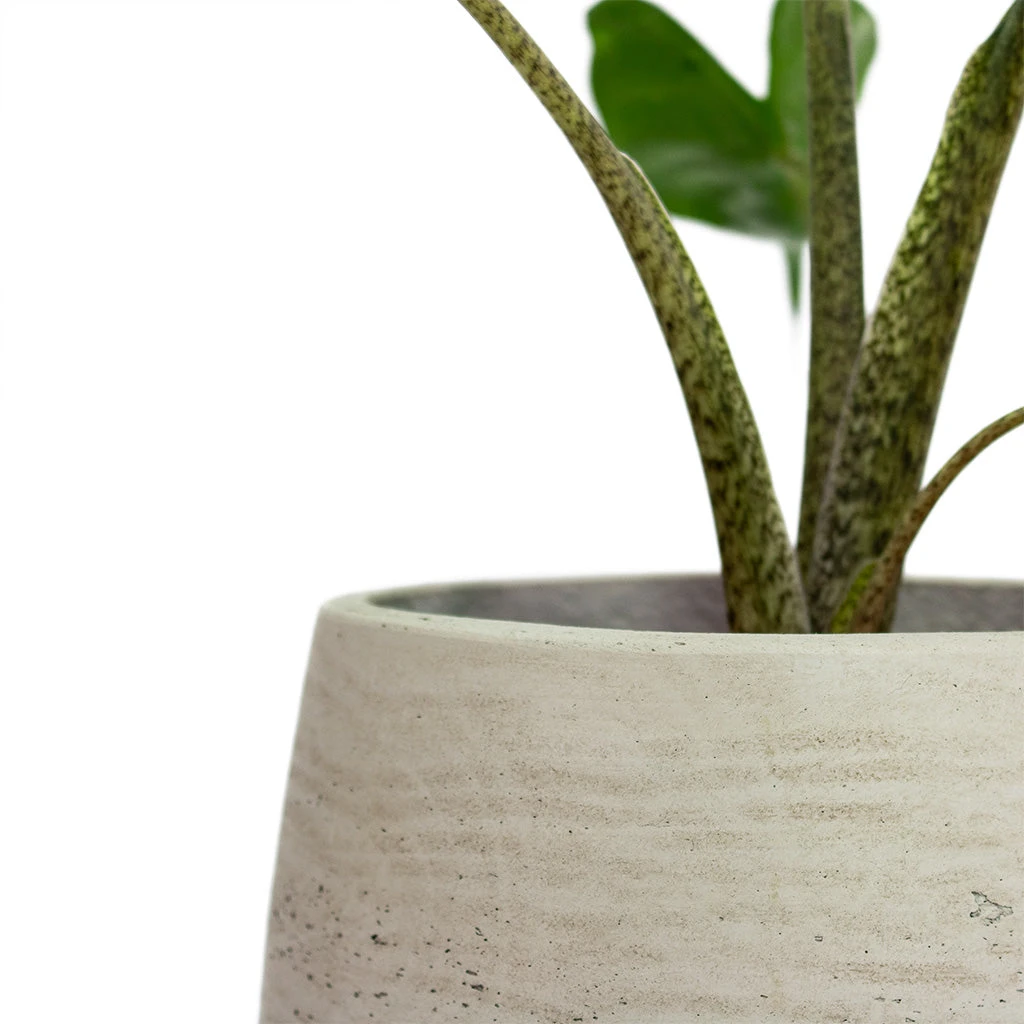 Mini Pixie Plant Pot - Grey Washed 4 Mini Pixie Plant Pot - Grey Washed - Image 2