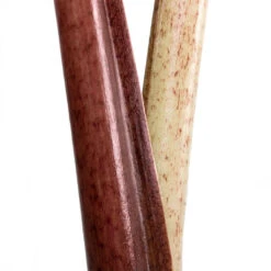 Alocasia Yucatan Princess - Elephant Ear 21 Alocasia Yucatan Princess - Elephant Ear -Plants Sale Store Alocasia Yucatan Princess Elephant Ear Close Up 002