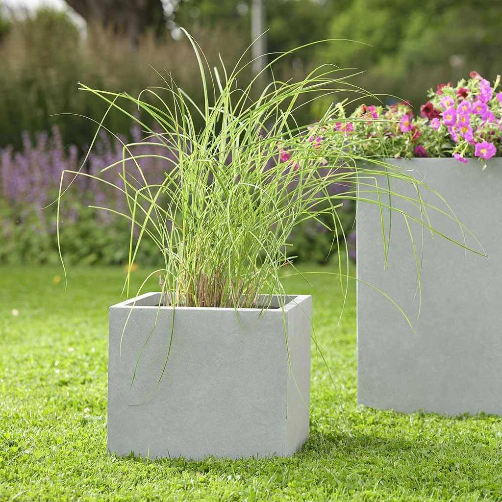 Amfa Square Planters - Set Of 5 - Grey 4 Amfa Square Planters - Set Of 5 - Grey - Image 2
