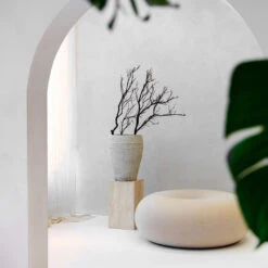 Ares Mediterranean Planter - Chalk White 9 Ares Mediterranean Planter - Chalk White -Plants Sale Store Ares Mediterranean Planter Chalk White Lifestyle