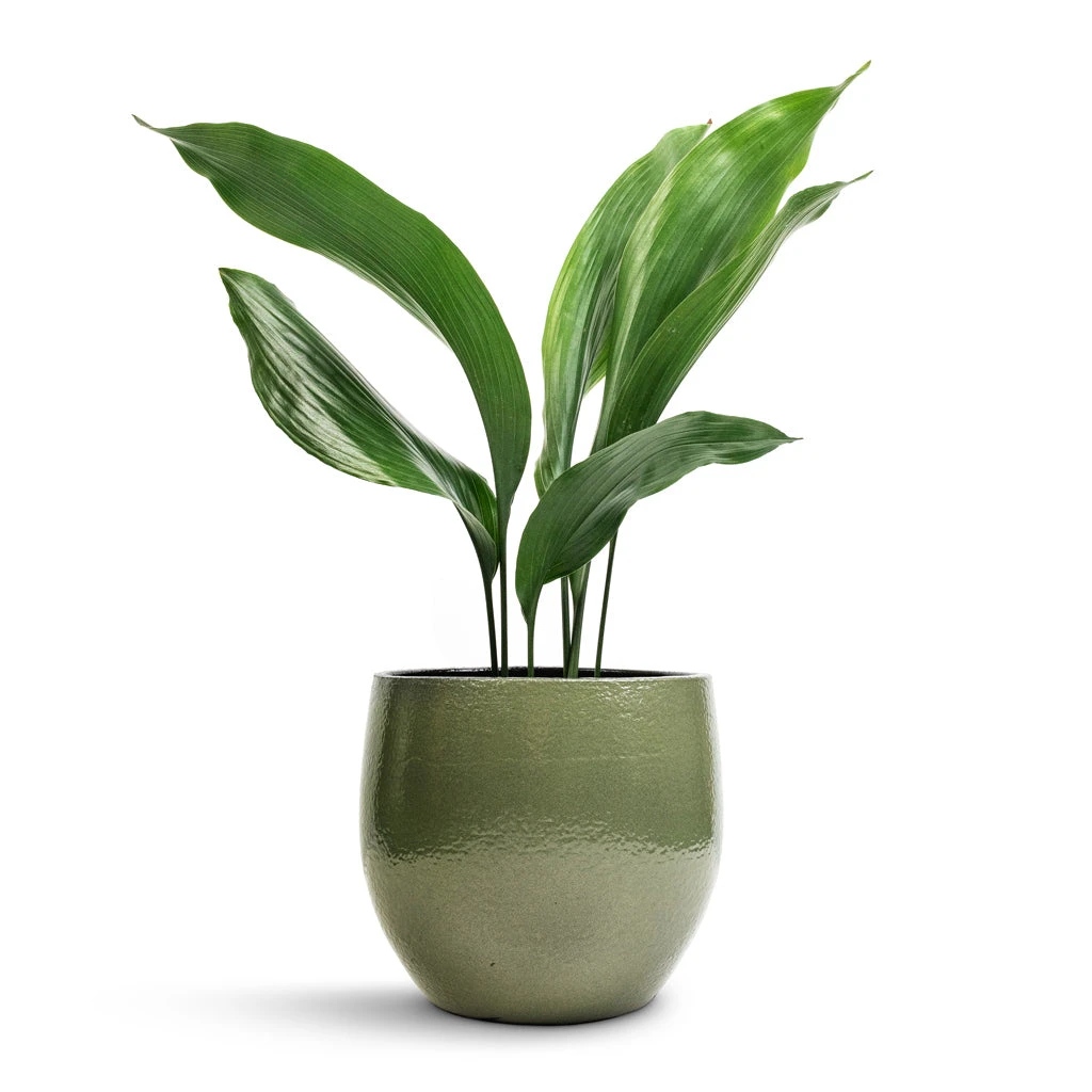Zembla Plant Pot - Green 11 Zembla Plant Pot - Green - Image 9