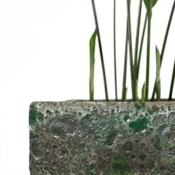 Lava Cube Relic Planter - Jade -Plants Sale Store Aspidistra Cast Iron Plant Lava Cube Relic Planter Jade Close Up