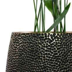 Opus Hit Darcy Planter - Gold 32 Opus Hit Darcy Planter - Gold -Plants Sale Store Aspidistra Cast Iron Plant Opus Hit Darcy Planter Gold Close Up
