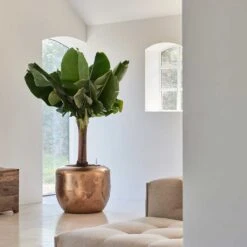 Opus Raw Couple Planter - Gold -Plants Sale Store Baq Opus Raw Couple Gold 2