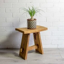 Beaucarnea - Pony Tail Palm - Orb -Plants Sale Store Beaucarnea Pony Tail Palm Orb liam grey plant pot natural 75c4d917 b2bf 49b7 be25 2fc18a3f2ba9