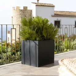 Block Natural Planter - Black -Plants Sale Store Block Natural Planter Black 4