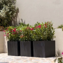 Block Natural Planter - Black -Plants Sale Store BlockNaturalPlanter Black 2