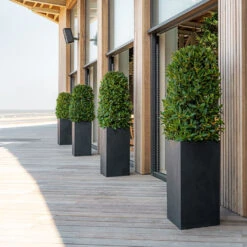 Bouvy Natural Planter - Black -Plants Sale Store Bouvy Natural Planter Black Lifestyle 3