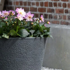 Bucket Granite Planter - Midnight Black -Plants Sale Store Bucket Granite Planter Midnight Black Lifestyle 2