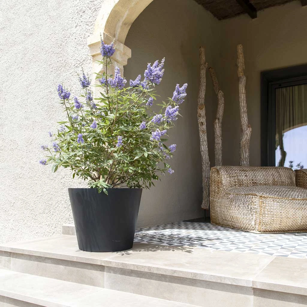 Bucket Natural Planter - Black 8 Bucket Natural Planter - Black - Image 6