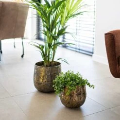 Calvin Metal Plant Pots - Set Of 3 - Matt Gold 24 Calvin Metal Plant Pots - Set Of 3 - Matt Gold -Plants Sale Store Calvin Metal Plant Pots Set of 3 Matt Gold 3