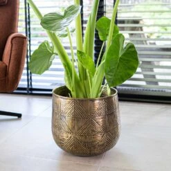 Calvin Metal Plant Pots - Set Of 3 - Matt Gold 20 Calvin Metal Plant Pots - Set Of 3 - Matt Gold -Plants Sale Store Calvin Metal Plant Pots Set of 3 Matt Gold 4