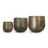 Calvin Metal Plant Pots - Set Of 3 - Matt Gold -Plants Sale Store Calvin Metal Plant Pots Set3 Matt Gold
