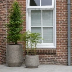 Harith Cement & Stone Plant Pot - Granite Grey -Plants Sale Store Cement Stone Harith Plant Pot lifestyle