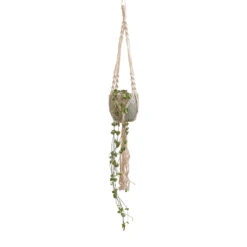 Macrame Hanging Plant Pot -Plants Sale Store Ceropegia woodii String of Hearts 10x20cm Macrame Hanging Plant Pot 12x10cm 2 5060628a 2d2e 4eae 852d 2589e83c0a60