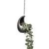 Ceropegia Woodii - String Of Hearts -Plants Sale Store Ceropegia woodii String of Hearts 14x30cm Gradient Hanging Cocoon Matt Grey 20x24cm 2