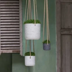 Charlie Hanging Plant Pot - Grey Washed 15 Charlie Hanging Plant Pot - Grey Washed -Plants Sale Store Charlie Hanging Plant Pots Houseplants