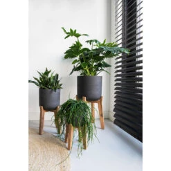 Charlie Plant Pot - Tall Stand - Black Washed -Plants Sale Store Charlie Plant Pot Tall Stand Black Washed Lifestyle 02