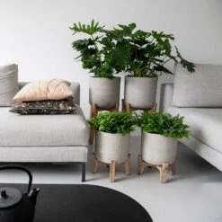 Charlie Plant Pot - Tall Stand - Grey Washed -Plants Sale Store Charlie Plant Pot Tall Stand Grey Washed Lifestyle 02