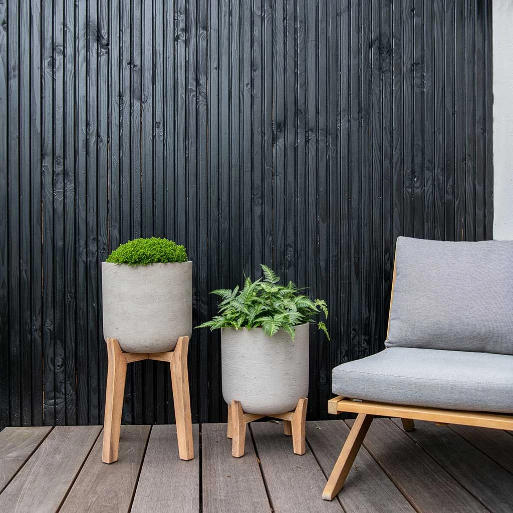 Charlie Plant Pot - Low Stand - Grey Washed 4 Charlie Plant Pot - Low Stand - Grey Washed - Image 2