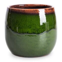 Charlotte Plant Pot - Green -Plants Sale Store Charlotte Plant Pot Green 15x13cm