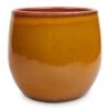 Charlotte Plant Pot - Spiced Ochre 1 Charlotte Plant Pot - Spiced Ochre -Plants Sale Store Charlotte Plant Pot Ochre 23x20cm