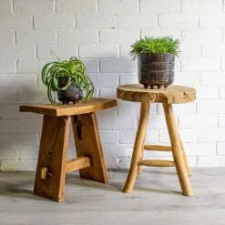 Senecio Himalaya - Himalaya Groundsel -Plants Sale Store Chlorophytum Bonnie Curly Spider Plant Senecio Himalaya Himalaya Groundsel Denise Plant Pot Blue Bronze deff1630 c6f8 4ee2 baf3 32fc8f3696f7