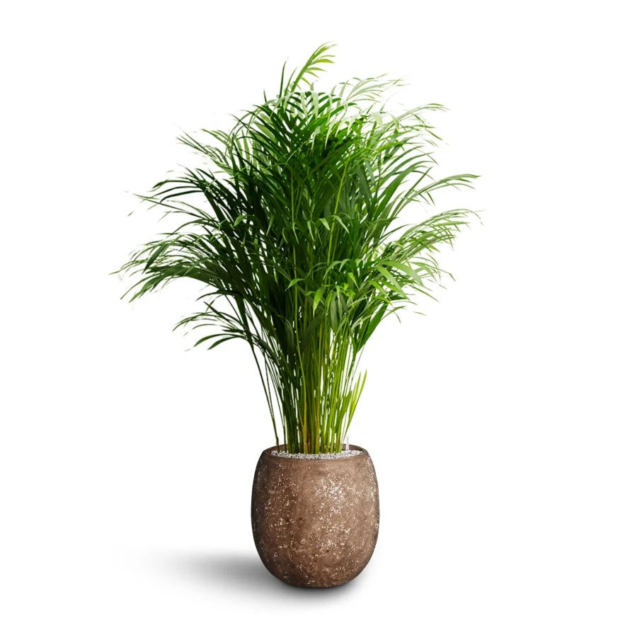 Polystone Coated Plain Balloon Planter - Rock 5 Polystone Coated Plain Balloon Planter - Rock - Image 3
