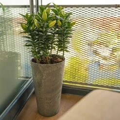 Claire Artstone Tall Planter - Grey -Plants Sale Store Claire Artstone Tall Planter Grey 4