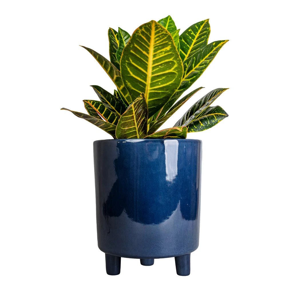 Pisa Plant Pot - Navy 8 Pisa Plant Pot - Navy - Image 6