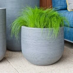 Cody Plant Pot - Ridged Dark Grey -Plants Sale Store Cody Plant Pot Ridged Dark Grey Houseplant