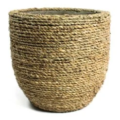 Cody Plant Pot - Straw Grass 30 Cody Plant Pot - Straw Grass -Plants Sale Store Cody Plant Pot Straw Grass 22cm