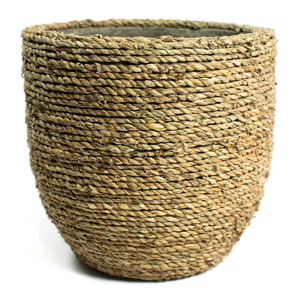 Cody Plant Pot - Straw Grass 11 Cody Plant Pot - Straw Grass - Image 9