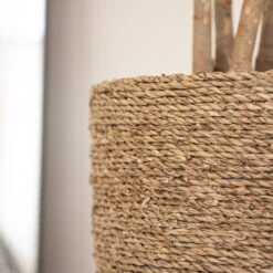 Cody Plant Pot - Straw Grass 28 Cody Plant Pot - Straw Grass -Plants Sale Store Cody Plant Pot Straw Grass 3