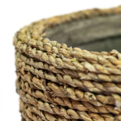 Cody Plant Pot - Straw Grass 36 Cody Plant Pot - Straw Grass -Plants Sale Store Cody Plant Pot Straw Grass Close Up