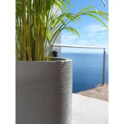 Cody Plant Vase - Ridged Dark Grey -Plants Sale Store Cody Tall Planter Ridged Dark Grey Areca Palm